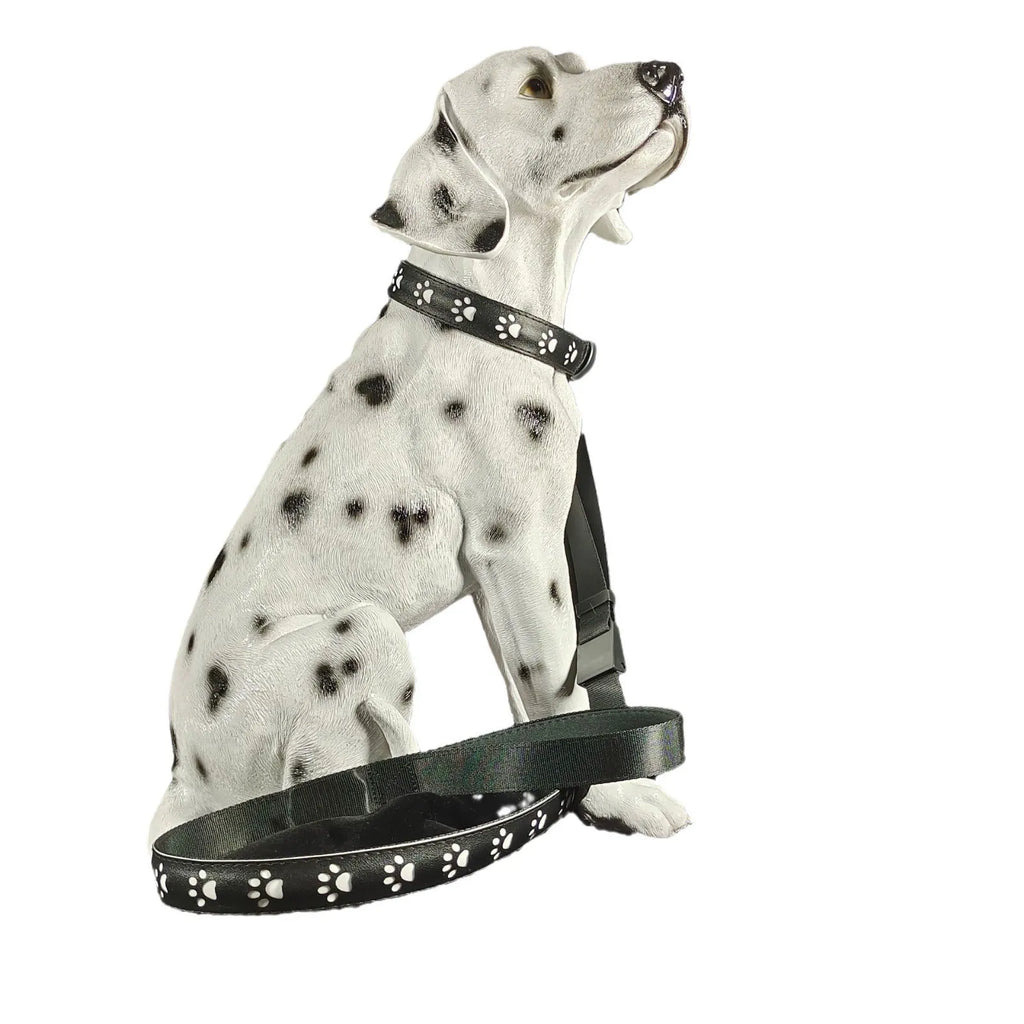 USB-rechargeable LED pet collar with colourful paw print pattern on a polyester strap.
