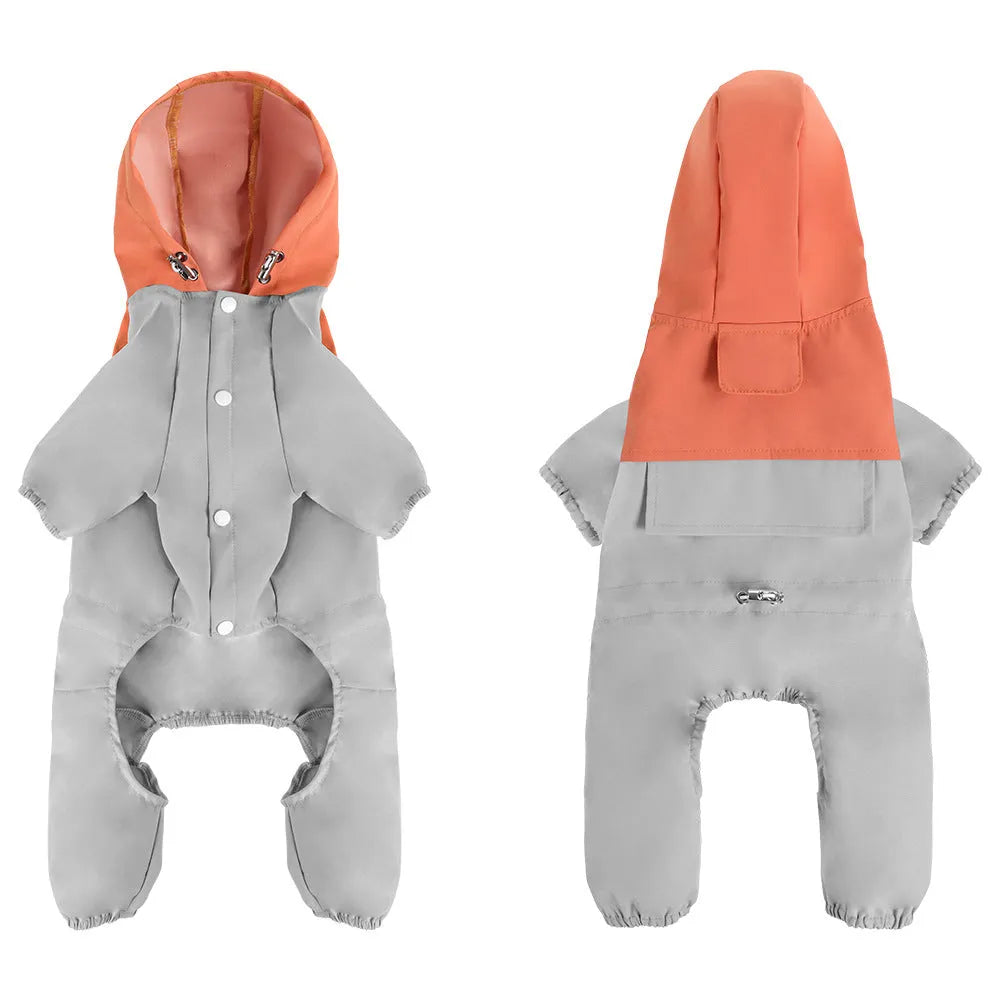 A small dog wearing a khaki-coloured British-style waterproof polyester jacket.