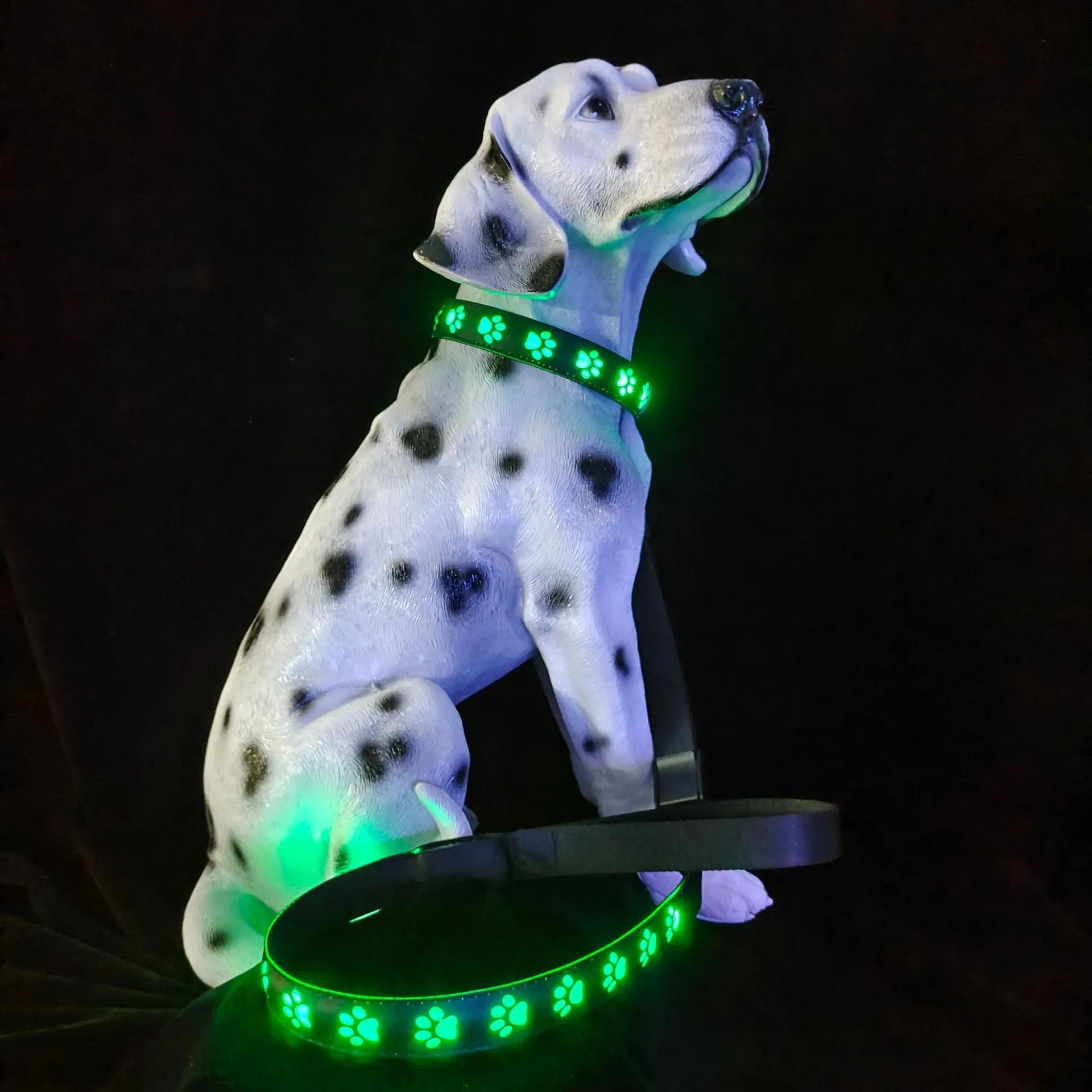 USB-rechargeable LED pet collar with colourful paw print pattern on a polyester strap.