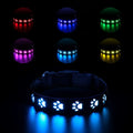 USB-rechargeable LED pet collar with colourful paw print pattern on a polyester strap.