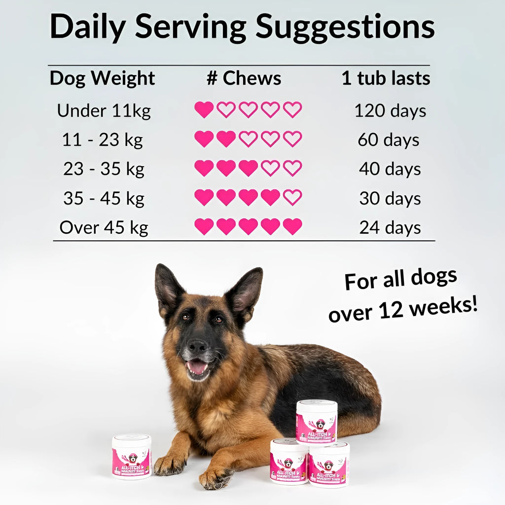 COMLEX vitamin chewable tablet box for dogs and cats, 120 tablets, protein supplement