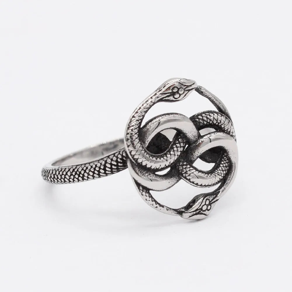 Steel coloured titanium steel ring featuring a detailed retro double snake design on a finger.