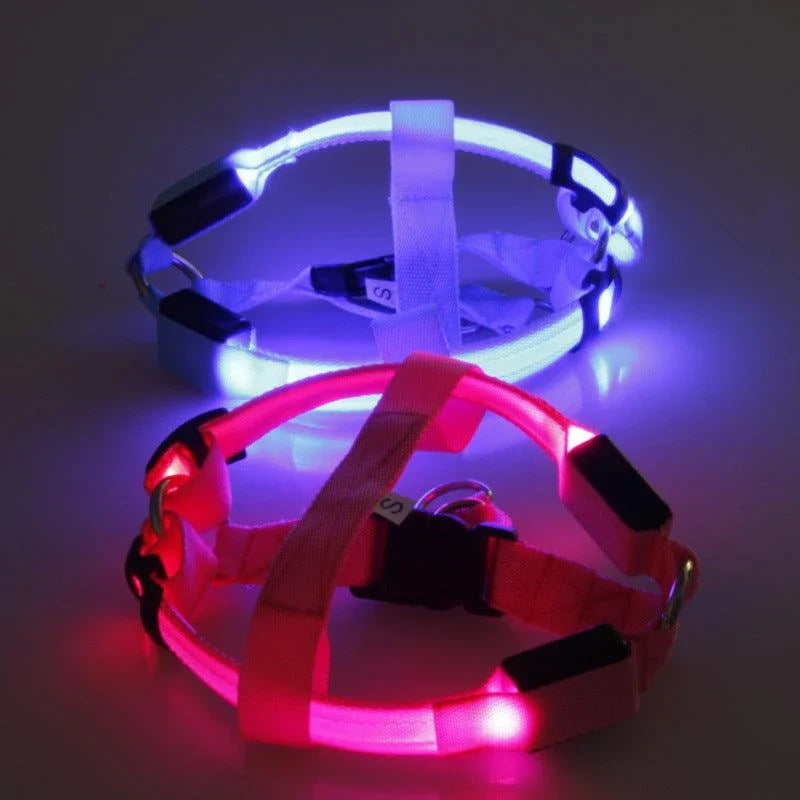 Brilliant luminous dog harness with adjustable nylon design and battery-powered lighting for enhanced visibility during walks and outdoor activities