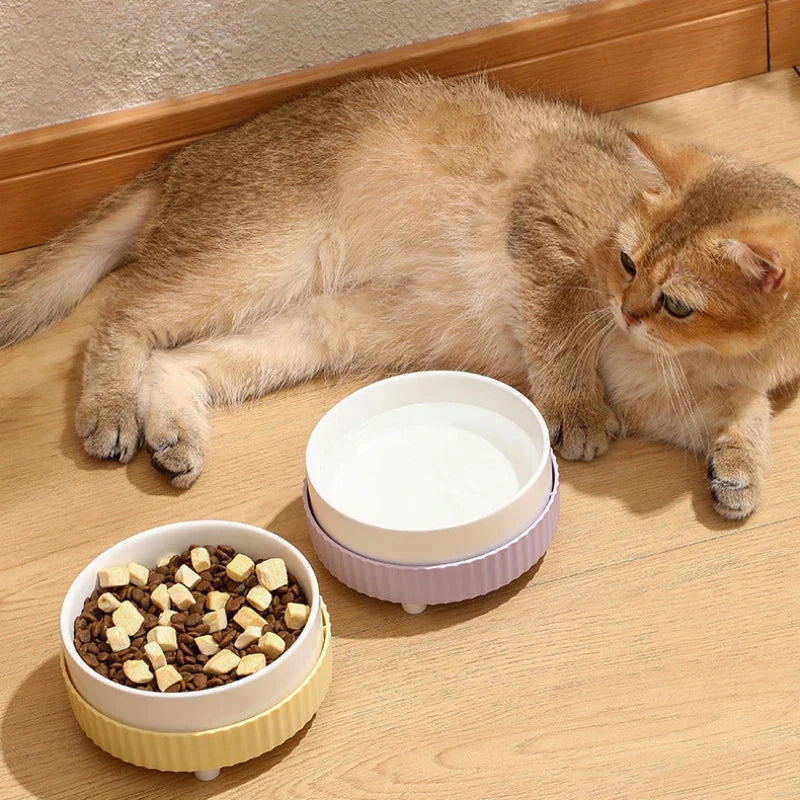 Stylish ceramic pet bowl in white color, designed for both cats and dogs, featuring a slip-resistant base and easy-clean construction.