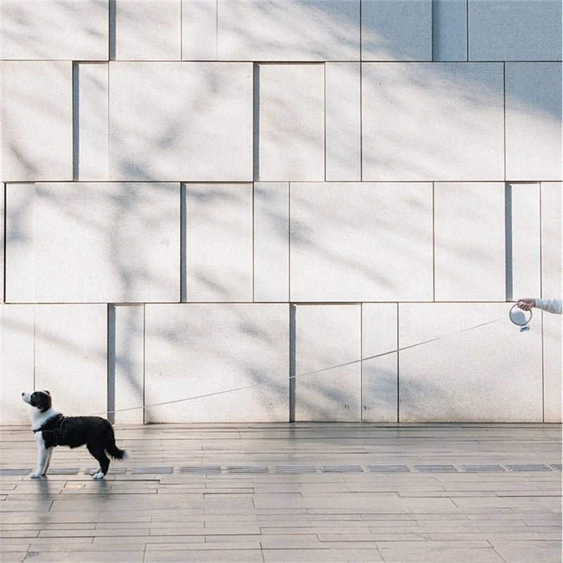 3m retractable dog leash with flashlight and garbage bag holder for convenient and safe dog walking