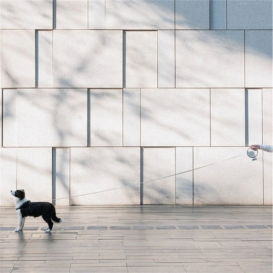 3m retractable dog leash with flashlight and garbage bag holder for convenient and safe dog walking