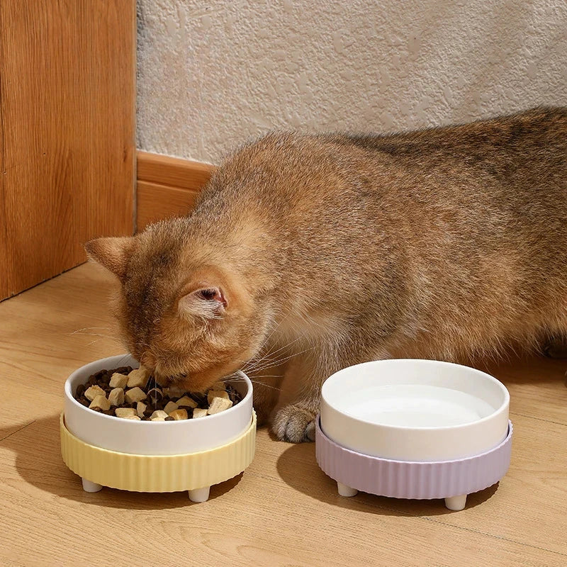 Stylish ceramic pet bowl in white color, designed for both cats and dogs, featuring a slip-resistant base and easy-clean construction.