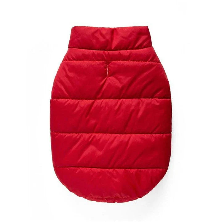 A cozy puffer jacket designed to keep Kiwi cats warm and comfortable during the colder months.