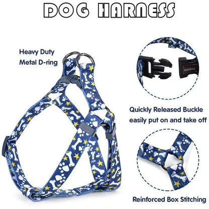 Adjustable No-Pull Dog Harness and Leash Set in Blue - Premium Kiwi-Inspired Gear for Comfortable, Controlled Walks