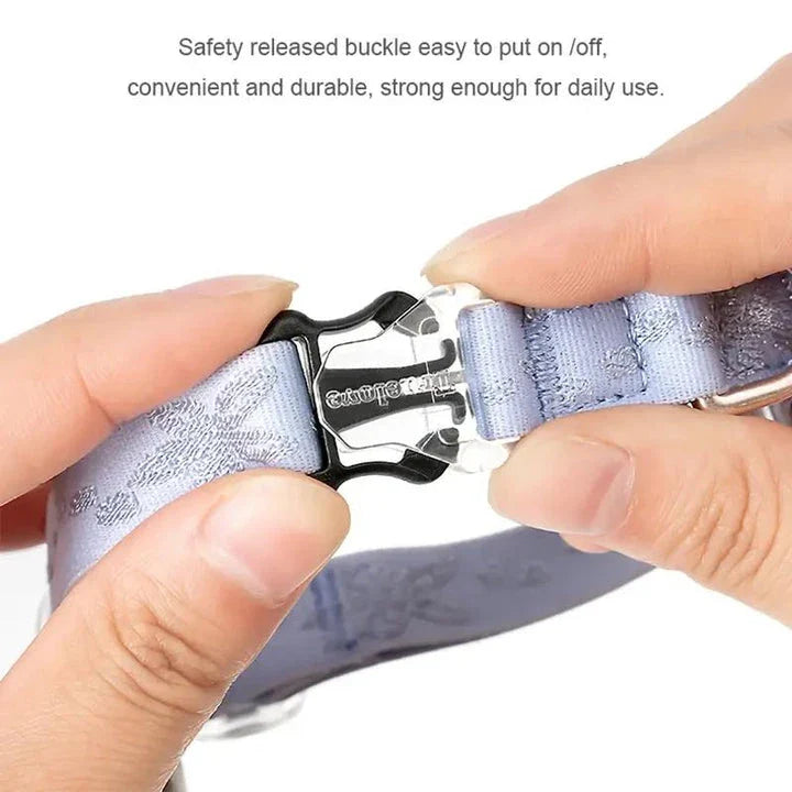 Adjustable cat and small dog collar in various Kiwi-inspired colours, including black, blue, and purple