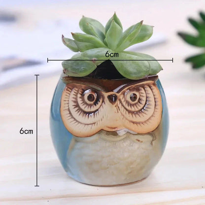 Charming mini owl-shaped ceramic plant pots in various colours, perfect for adding a unique touch to your Kiwi home or garden.