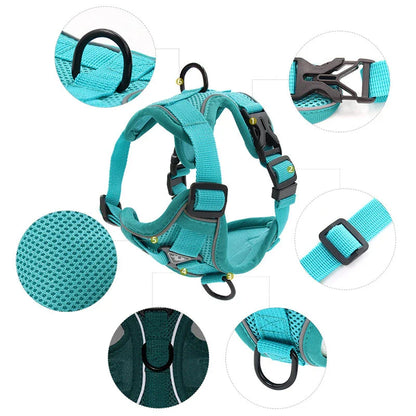 Adjustable Reflective No-Pull Dog Harness and Leash Set for Small to Medium Kiwi Dogs