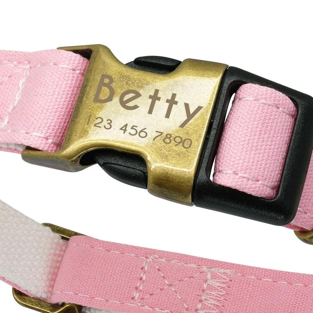 Vibrant pastel dog collar made of premium nylon with adjustable sizing to fit Kiwi pups of all shapes and sizes