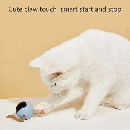 A smart interactive cat toy with a bouncing ball and colorful LED lights, designed to keep indoor cats entertained and engaged.