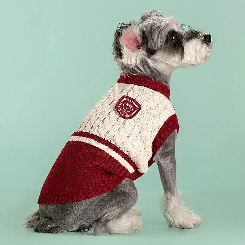 Cozy and stylish college-inspired pet sweater for small to medium-sized dogs in New Zealand