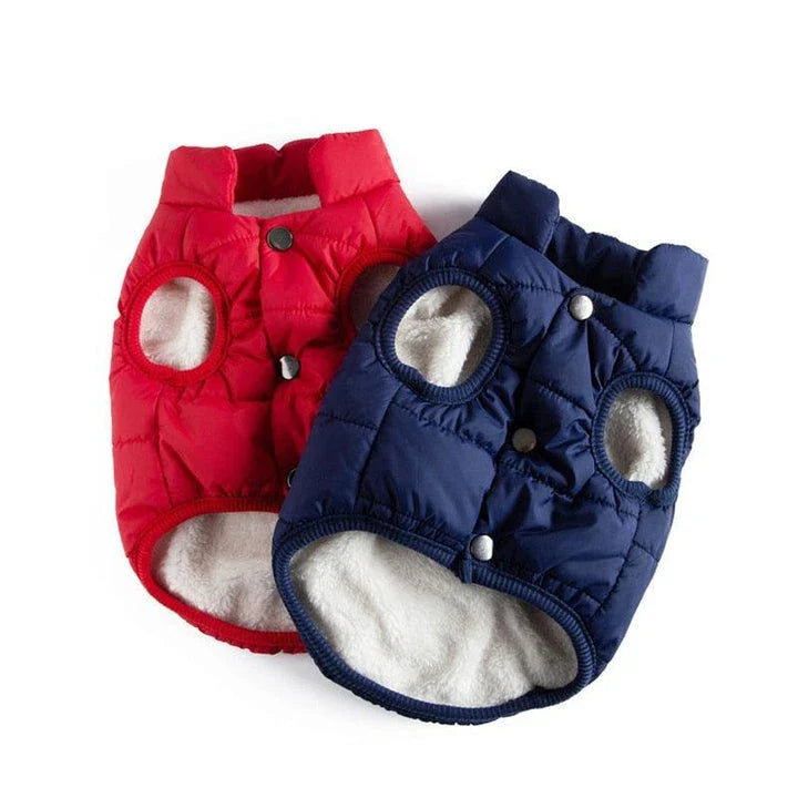 A cozy puffer jacket designed to keep Kiwi cats warm and comfortable during the colder months.