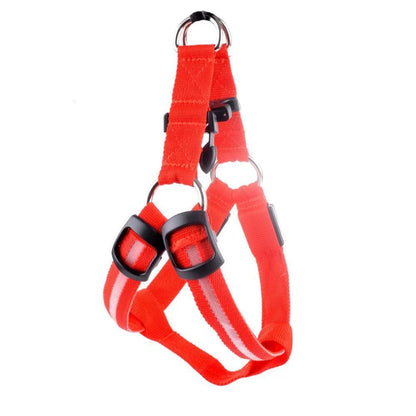 Brilliant luminous dog harness with adjustable nylon design and battery-powered lighting for enhanced visibility during walks and outdoor activities