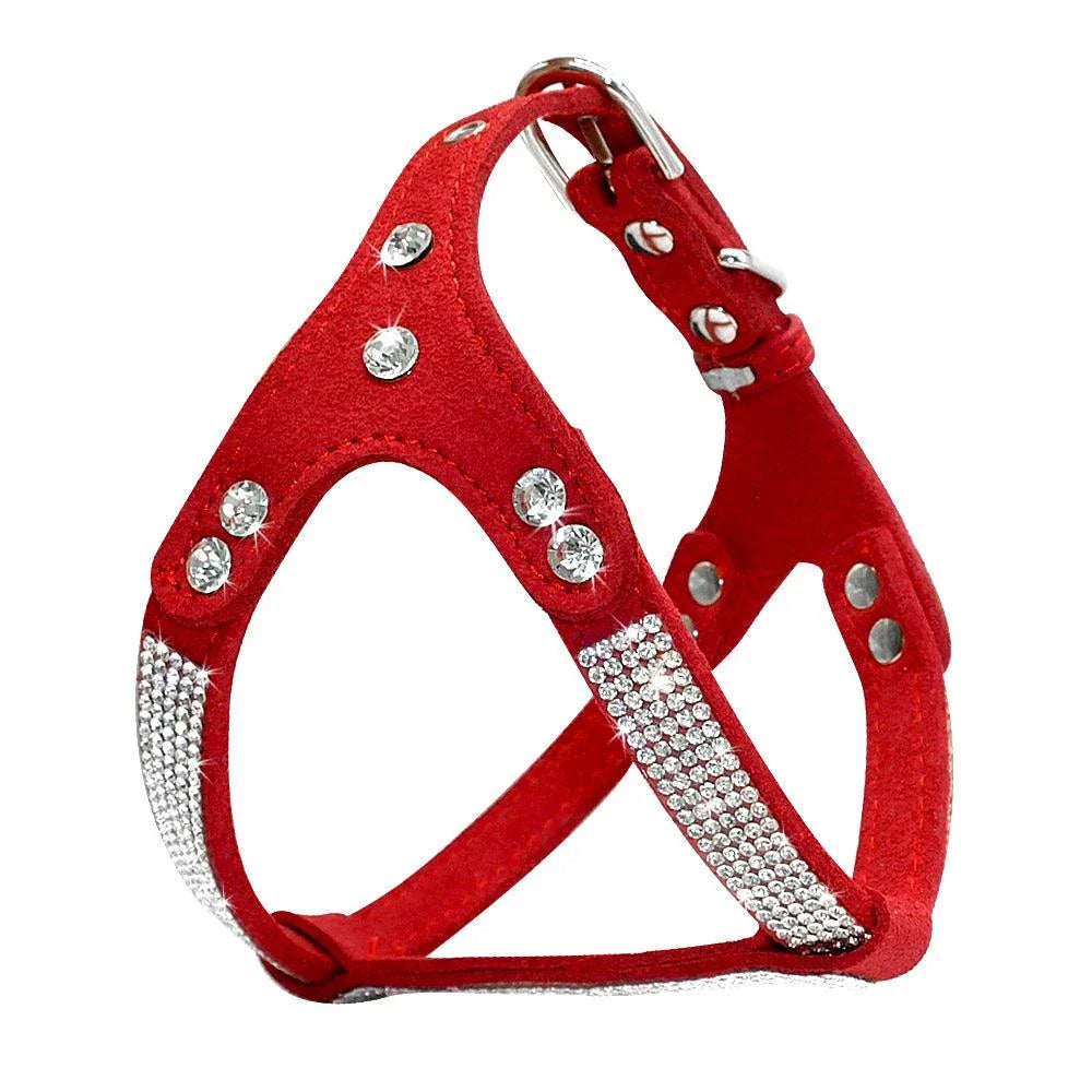 Fashionable leather dog harness with rhinestone accents, designed for stylish Kiwi canines