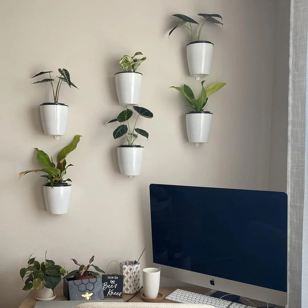 Sleek, wall-mounted hydroponic planter with vertical design, dual-basket system, and automatic watering for easy indoor gardening in New Zealand homes and offices.