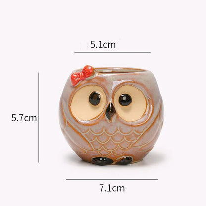 Charming Owl Ceramic Planter, a beautiful and adorable addition to Kiwi homes and offices