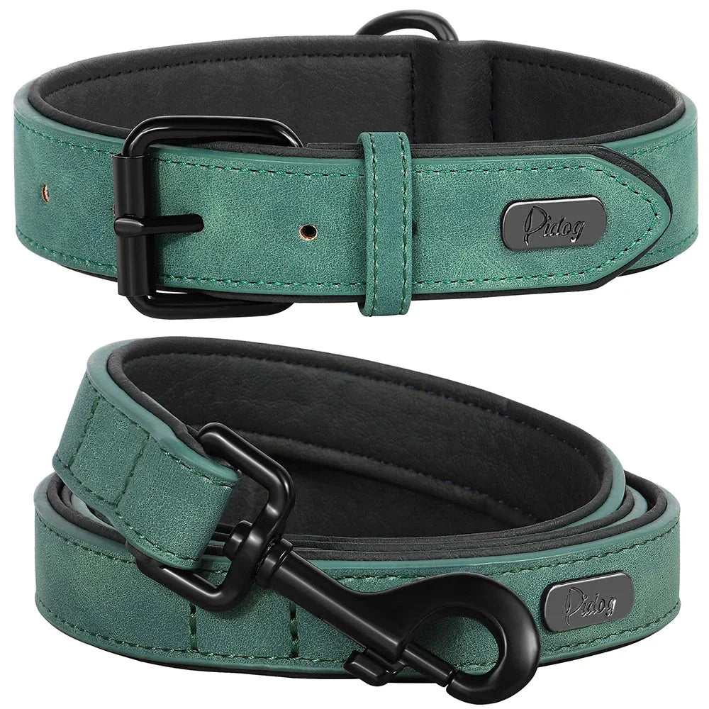 Robust padded dog collar and leash set made of high-quality leather in vibrant colours for active Kiwi pups