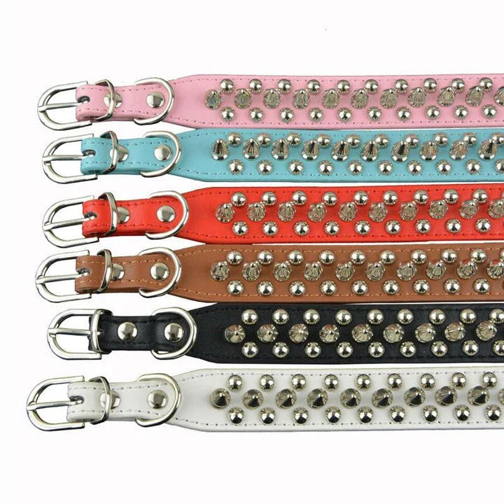 Stylish PU leather pet collar in various sizes, perfect for Kiwi pups and cats of all breeds