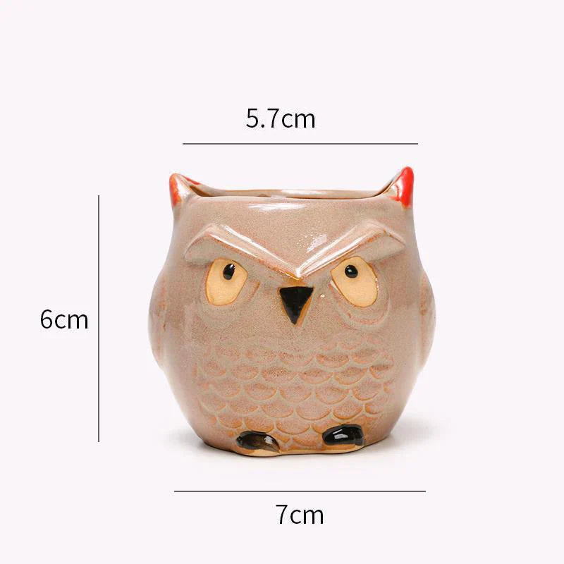 Charming Owl Ceramic Planter, a beautiful and adorable addition to Kiwi homes and offices