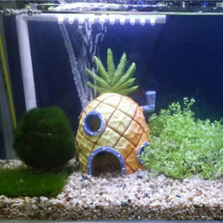 Wooden pineapple aquarium decorations adding tropical flair to an underwater display