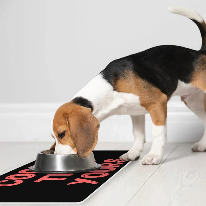 Sarcastic and stylish pet food mat with rubber backing to prevent slipping and spills for cats and dogs