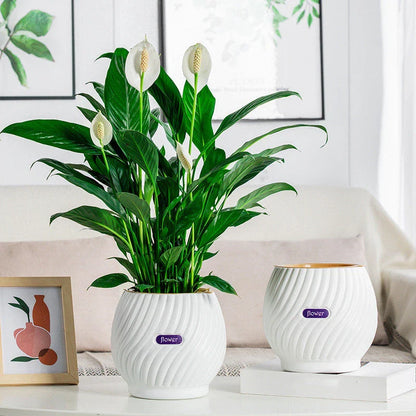 Handmade self-watering planter with modern, sleek design for indoor gardening in New Zealand homes and offices