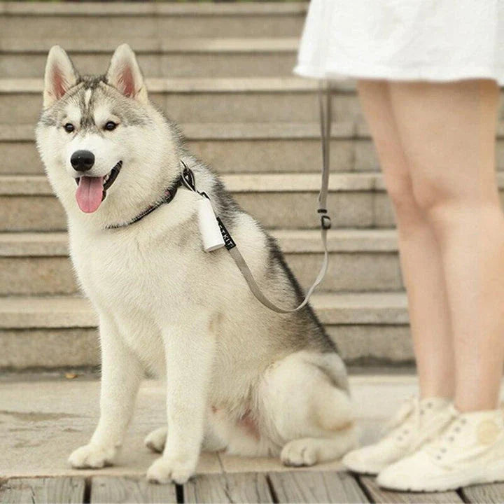 Eco-Friendly Portable Dog Waste Bags for New Zealand pet owners - made from sustainable materials with a compact, leak-proof design