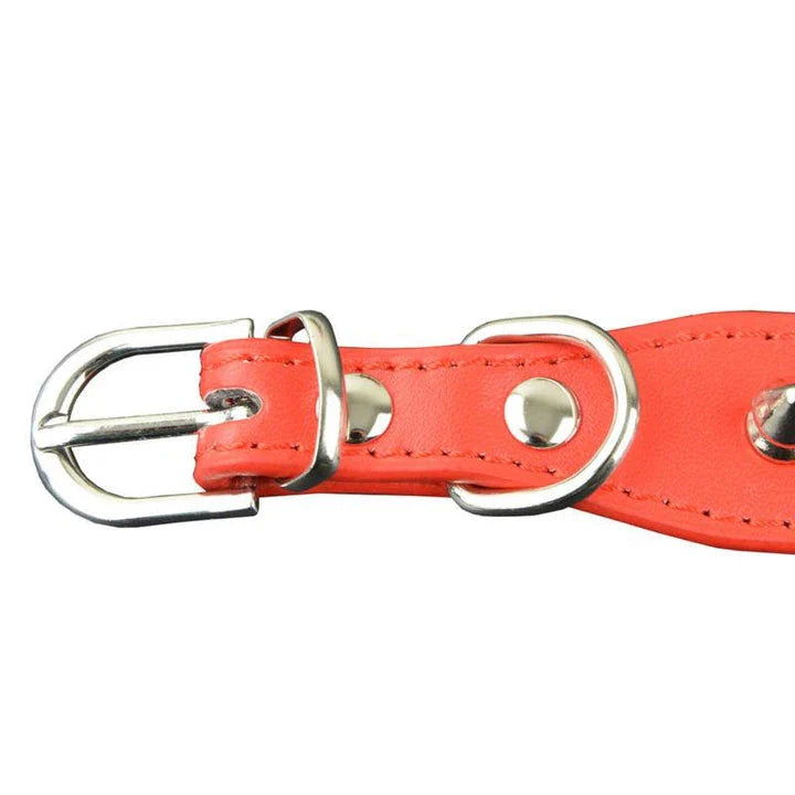 Stylish PU leather pet collar in various sizes, perfect for Kiwi pups and cats of all breeds