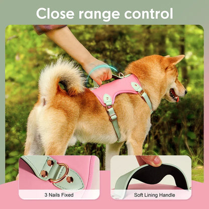 Comfort Fit PU Leather Dog Harness in Brown and Pink colours, designed for medium to large dog breeds