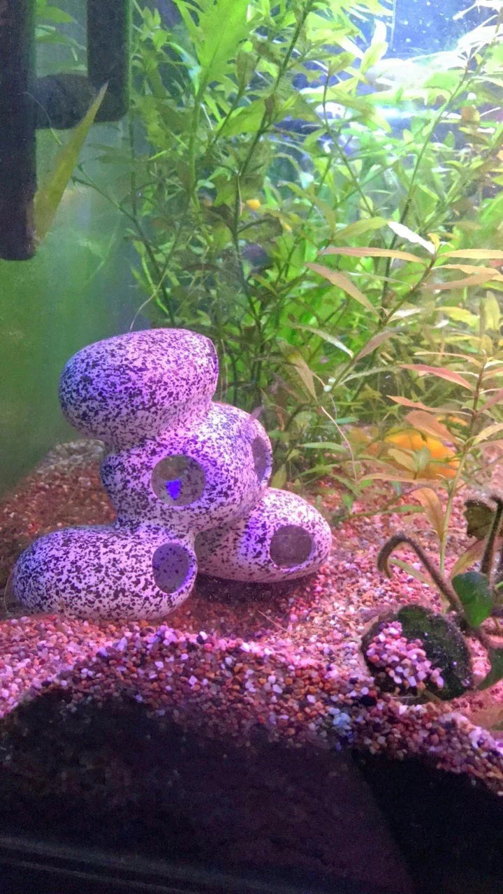 Decorative aquarium stone in grey, brown, and black color options, providing a natural-looking habitat for kiwi fish and shrimps