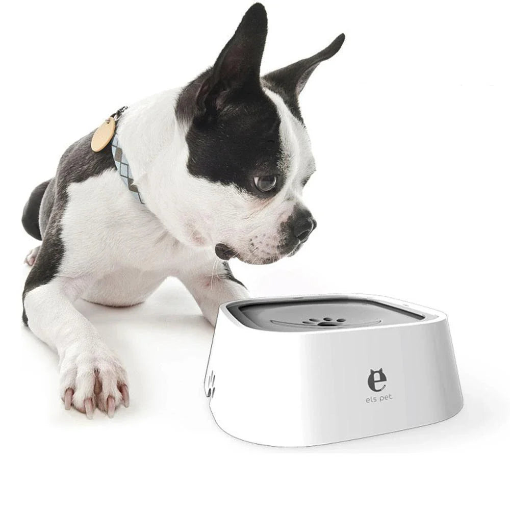 Large, spill-proof dog water bowl made of durable plastic for Kiwi pups