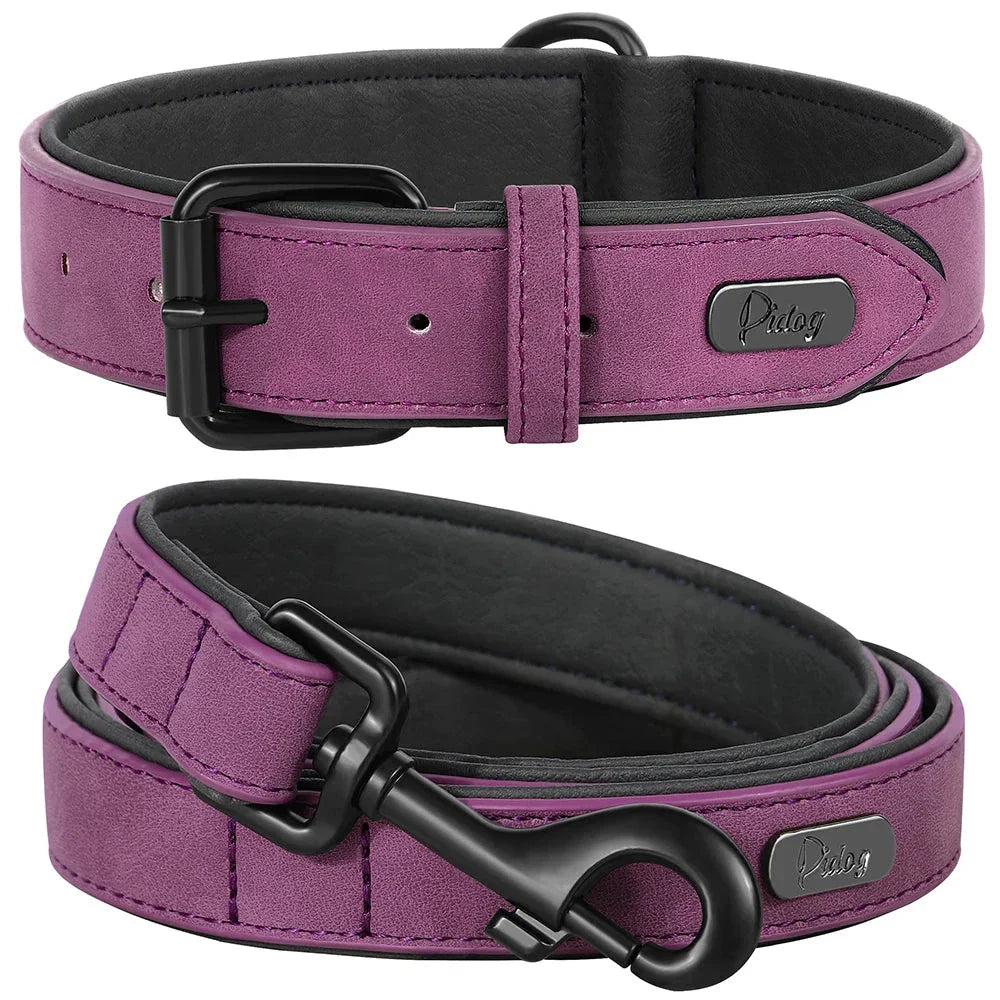 Robust padded dog collar and leash set made of high-quality leather in vibrant colours for active Kiwi pups