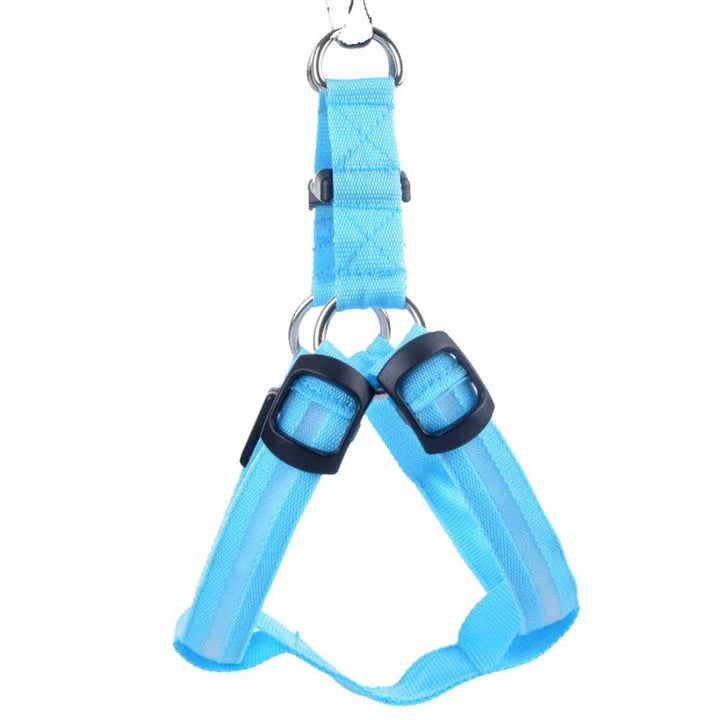 Brilliant luminous dog harness with adjustable nylon design and battery-powered lighting for enhanced visibility during walks and outdoor activities