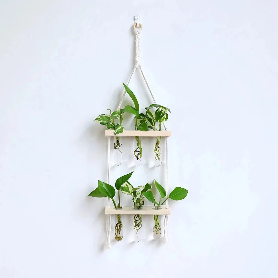 Elegant Bamboo Hydroponic Wall Vase with Glass Tube and Wooden Frame