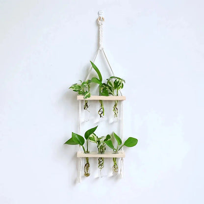 Elegant Bamboo Hydroponic Wall Vase with Glass Tube and Wooden Frame