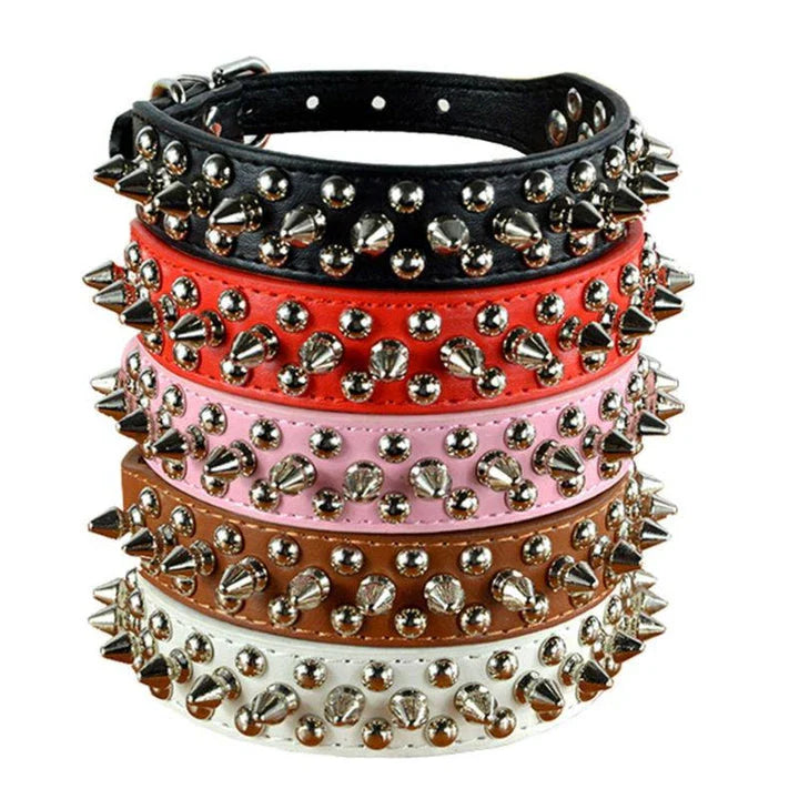 Stylish PU leather pet collar in various sizes, perfect for Kiwi pups and cats of all breeds