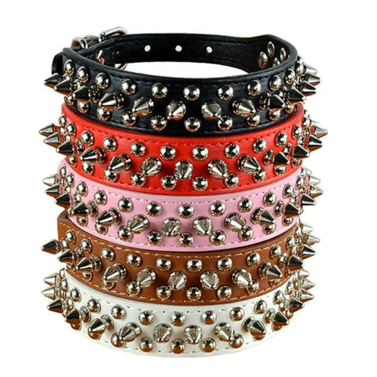 Stylish PU leather pet collar in various sizes, perfect for Kiwi pups and cats of all breeds