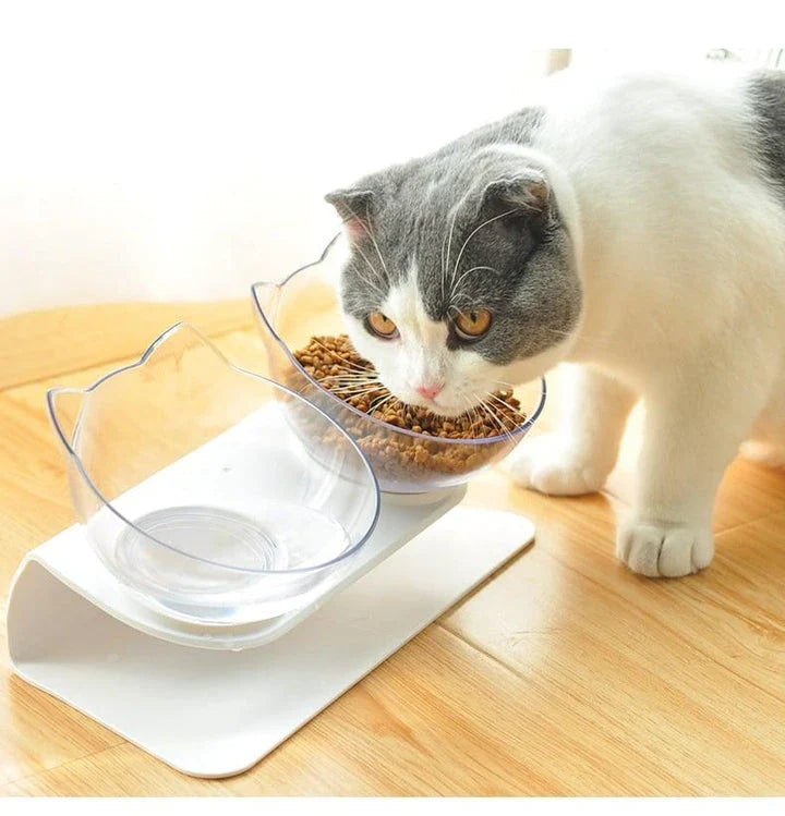 Non-slip cat bowls with a raised stand for comfortable and spill-free mealtime