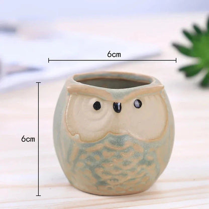 Charming mini owl-shaped ceramic plant pots in various colours, perfect for adding a unique touch to your Kiwi home or garden.