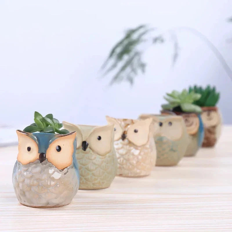 Charming mini owl-shaped ceramic plant pots in various colours, perfect for adding a unique touch to your Kiwi home or garden.