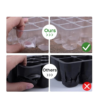 A transparent 12-cell seedling tray with a humidity dome and drainage holes, perfect for growing a variety of plants from seeds.