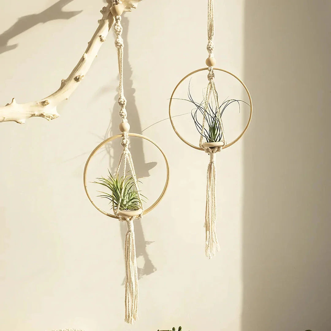 Beige macrame air plant hanging holder with intricate handwoven design, perfect for adding Boho-chic charm to any New Zealand home