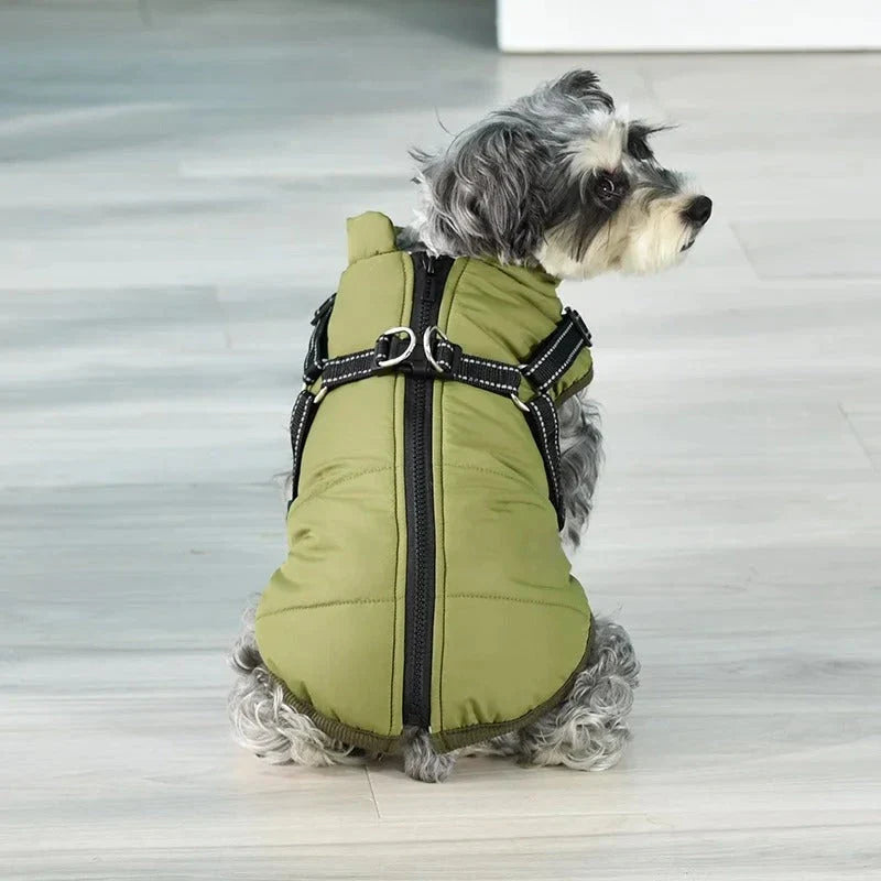 A stylish and practical waterproof dog coat with a built-in harness, designed to keep your pet warm, dry, and safe during outdoor activities.