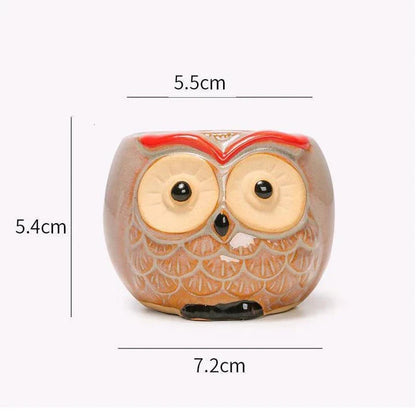 Charming Owl Ceramic Planter, a beautiful and adorable addition to Kiwi homes and offices