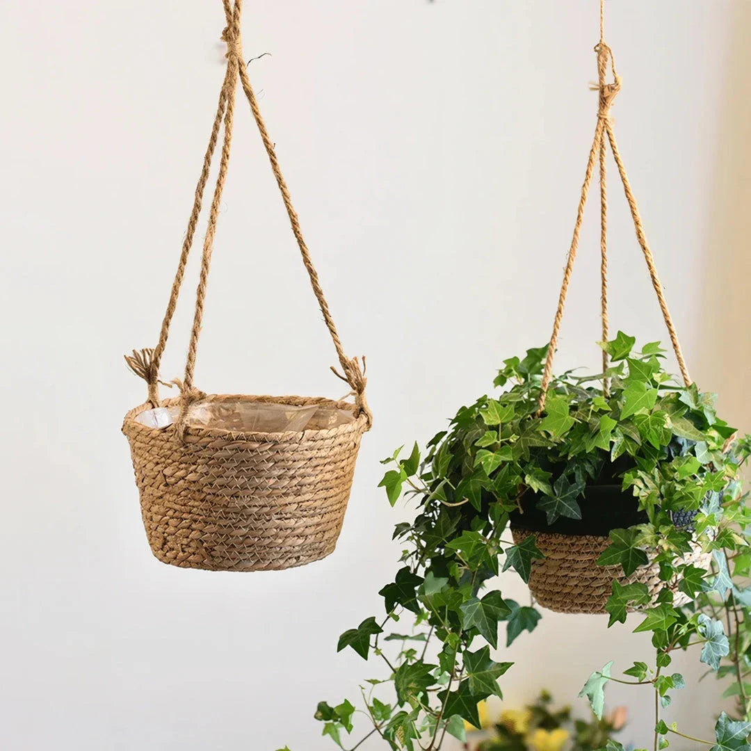 Stylish jute rope hanging planter basket in gray, perfect for adding natural, bohemian charm to Kiwi homes and gardens