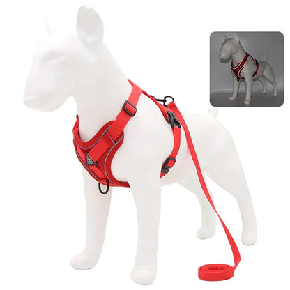 Adjustable Reflective No-Pull Dog Harness and Leash Set for Small to Medium Kiwi Dogs